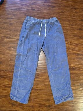BDG Men's Light Blue Corduroy Drawstring Pants